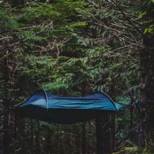 Camping hammock