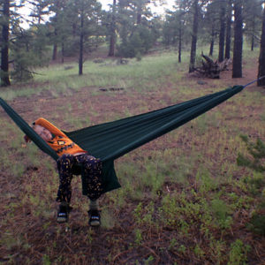 Anna's Hammock