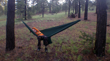 Anna's Hammock