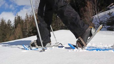 Guide To Snowshoeing