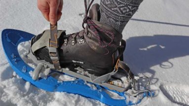 Snowshoeing